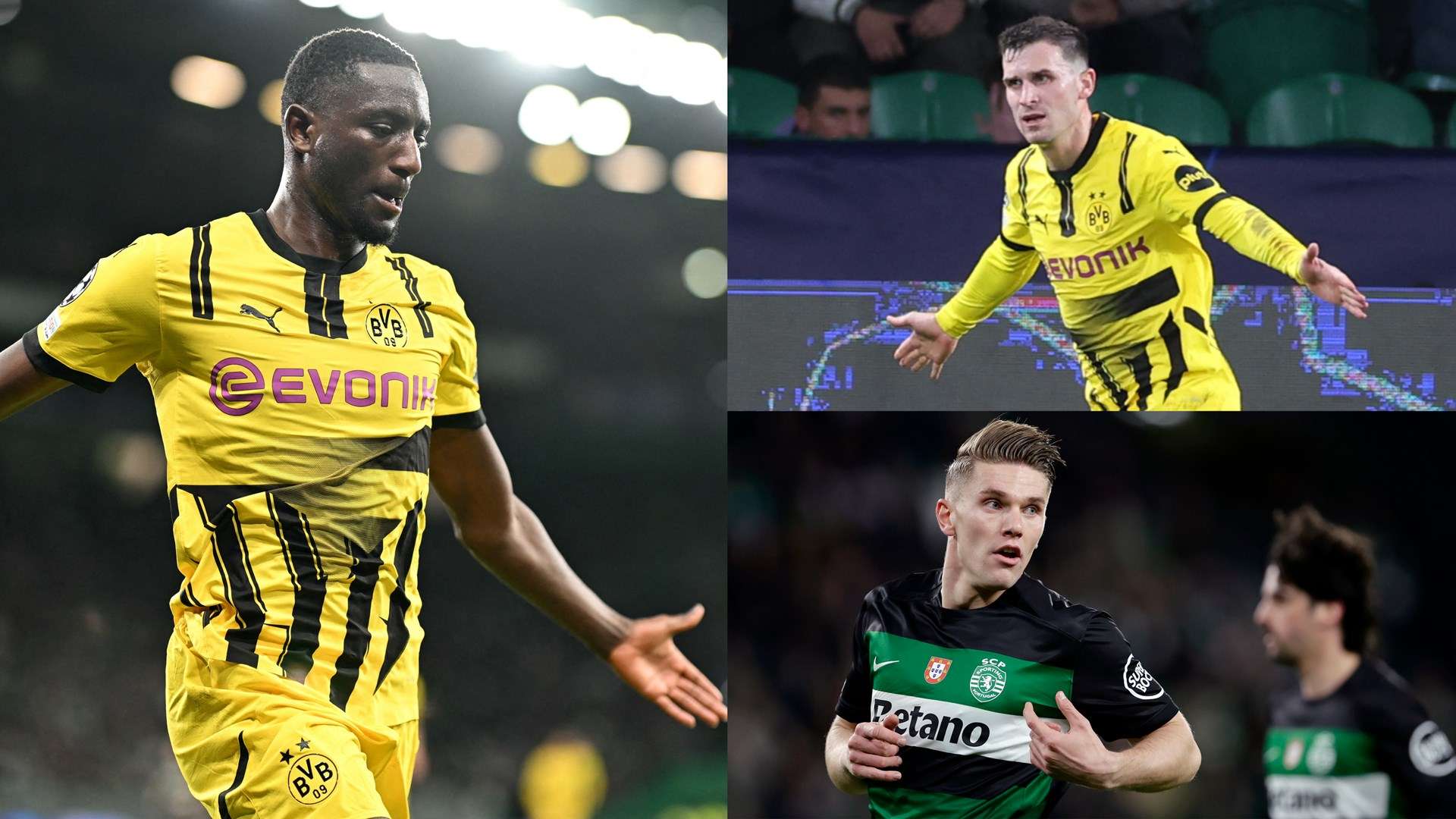 这种现象不 这种现象不