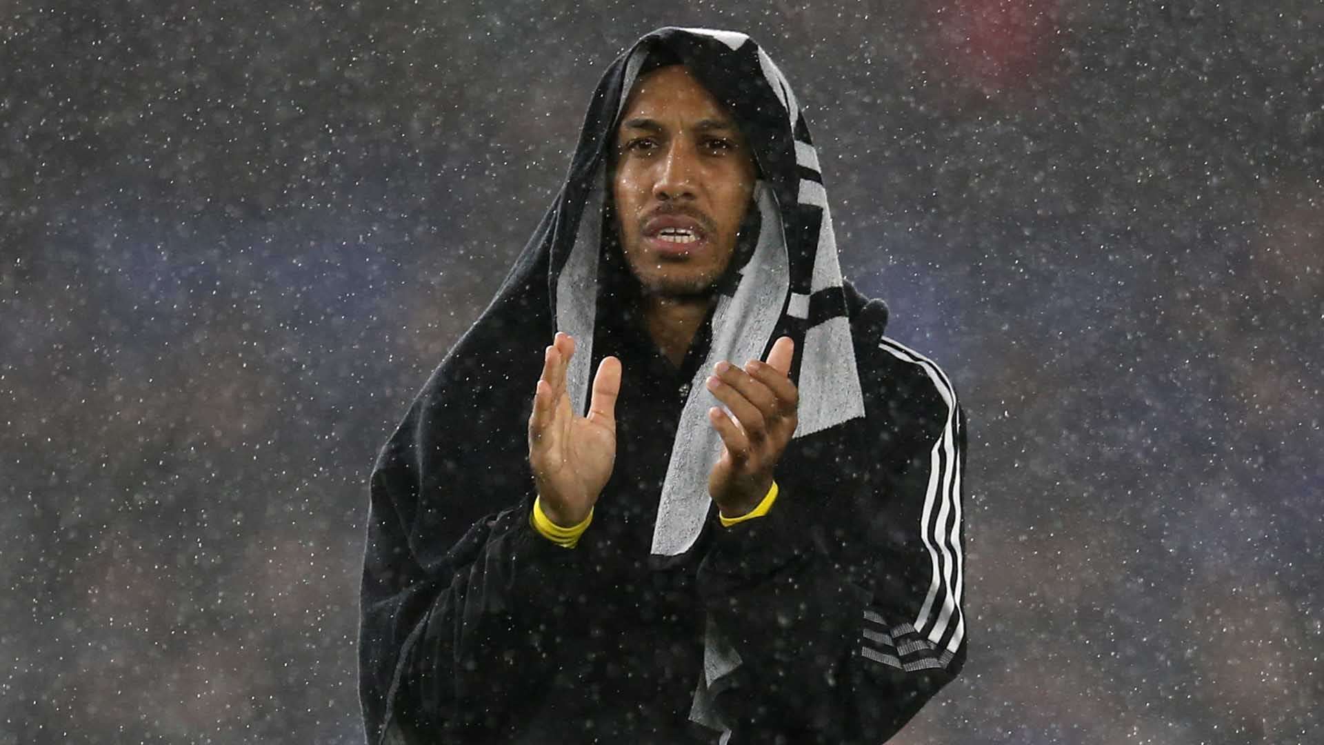 哈兰德最强 哈兰德最强